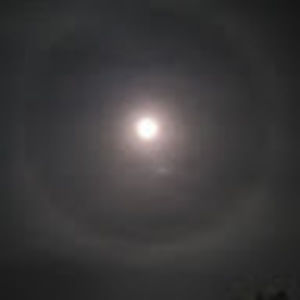 Meet your Posher, Ms. az